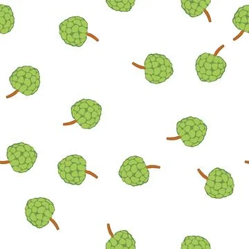 Pattern custard apple fruit drawing on white background Illustrazione stock
