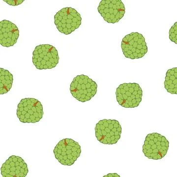 Pattern custard apple fruit representing healthy exotic eating イラスト素材