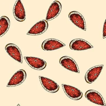 Pattern cut grapefruit red sketch hand drawn Illustrazione stock