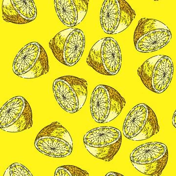 Pattern cut lemon sketch hand drawn Stockillustratie