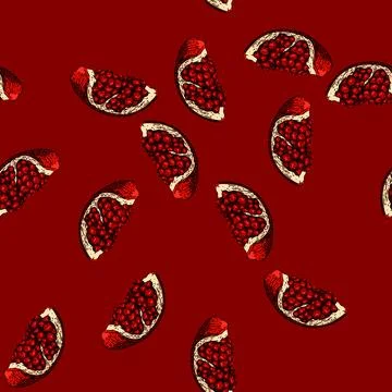 Pattern cut pomegranate sketch hand drawn Stock Illustration