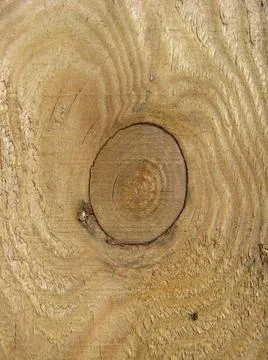 Pattern on a cut of a tree Pattern of yellow color on a cut of a tree Cop... Foto stock