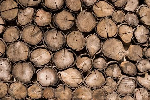 Pattern of cut tree wood wall background Stock Photos