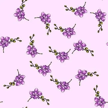 Pattern cymbidium orchid sketch hand drawn Stock Illustration