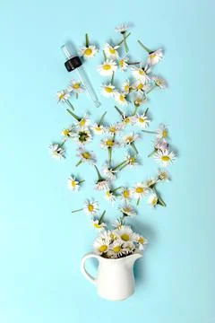 Pattern with daisy flowers and bottle on pink backround. Stock Photos