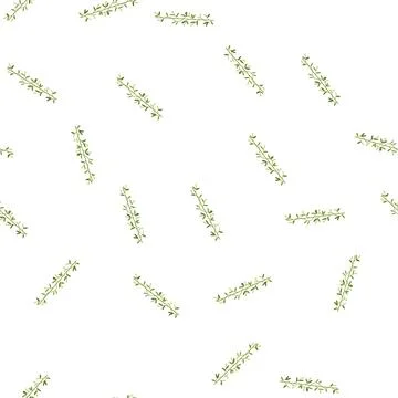 Pattern decoration olive border divider cartoon vector 스톡 일러스트