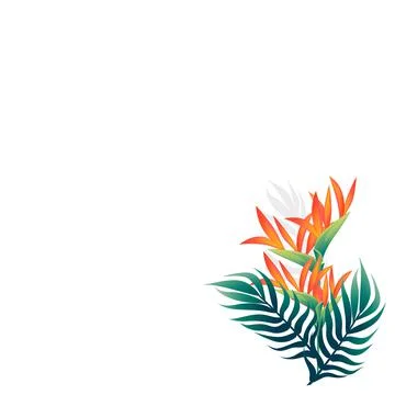 Pattern of decorative flowers Bird of Paradise floral element for garden or Stock Illustration