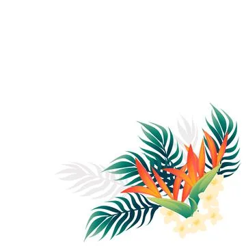 Pattern of decorative flowers Bird of Paradise floral element for garden or Stockillustratie