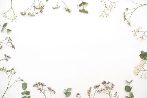 A pattern of delicate flowers and plants on a white background. The concept of Stock Photos