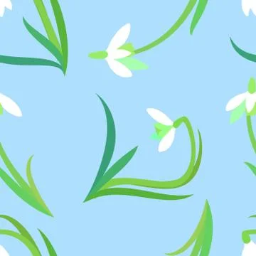 Pattern with delicate white wildflowers and circles. 库存插图