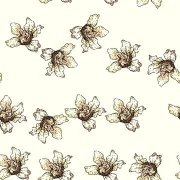 Pattern dendrobium orchid sketch hand drawn Stock Illustration