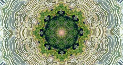 Pattern derrived from nature Stock Photos