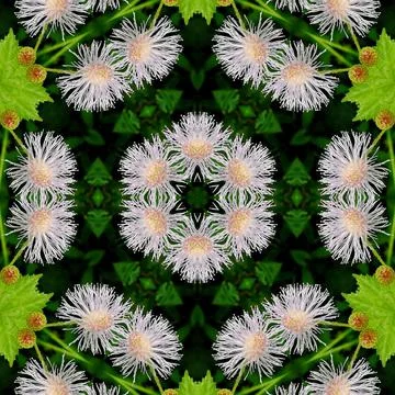 Pattern design for any printing background Stock Illustration