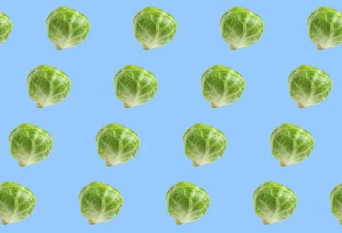 Pattern design of fresh Brussels sprouts on light blue background Stock Photos