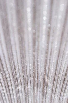 Pattern design with silver lines in perspective.Vertical view. Copy space Stock Photos