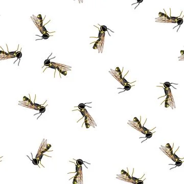 Pattern Detailed of a yellow and black wasp insect Stock Illustration