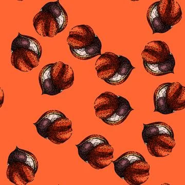 Pattern diet guarana fruit sketch hand drawn Stock Illustration