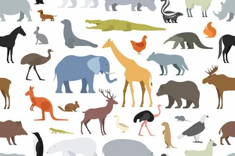 Pattern with different Animals Stock Illustration