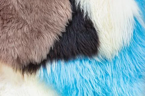 Pattern of different colorful sheep wool rugs Stock Photos