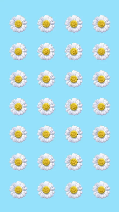 Pattern from different flowers cutout Stock Footage 260601735