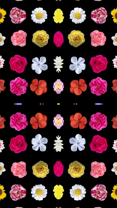 Pattern from different flowers cutout Stock Footage 260604512