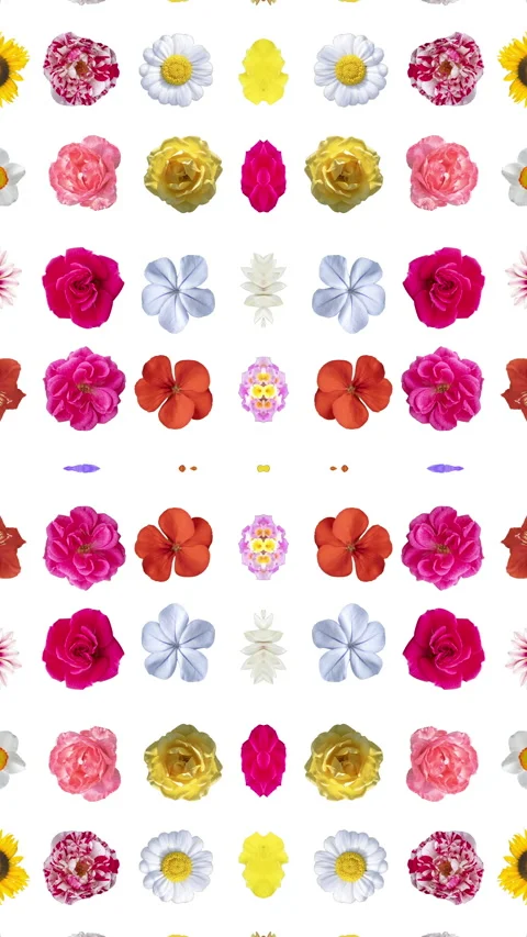 Pattern from different flowers cutout Stock Footage 260604566