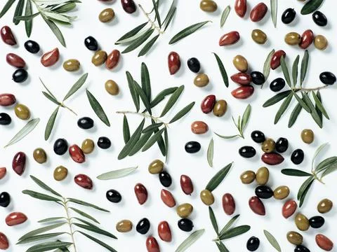 Pattern with different olives and olive branches Stock-Fotos