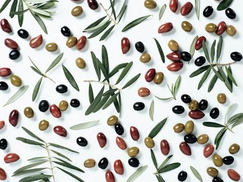 Pattern with different olives and olive branches Stock Photos