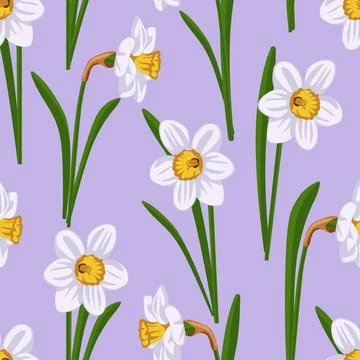 A pattern of different realistic white daffodils Illustrazione stock