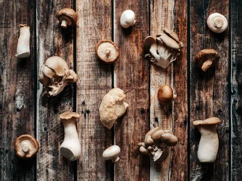 Pattern from different types mushrooms, top view Set of selected mushrooms... Stock Photos