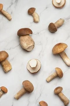 Pattern from different white mushrooms on a white background Stock Photos