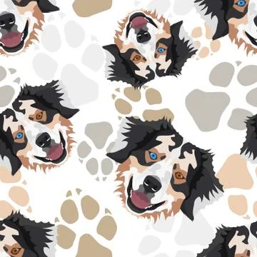 Pattern Dog Paws Australian Shepherd. Illustrazione stock