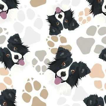 Pattern Dog Paws Border Collie. Stock Illustration