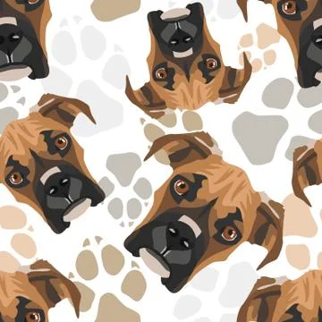 Pattern Dog paws Boxer. 스톡 일러스트