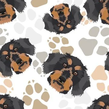 Pattern dog paws dachshund. Stock Illustration
