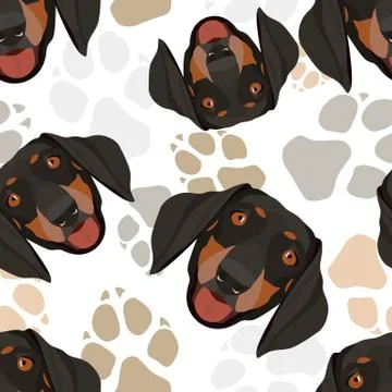Pattern dog paws dachshund. Stock Illustration