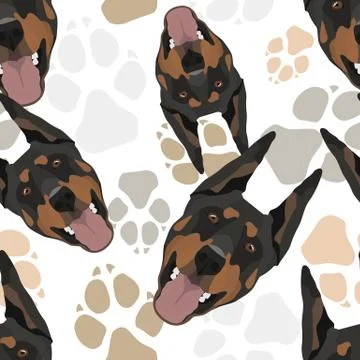 Pattern Dog Paws Doberman. Illustrazione stock