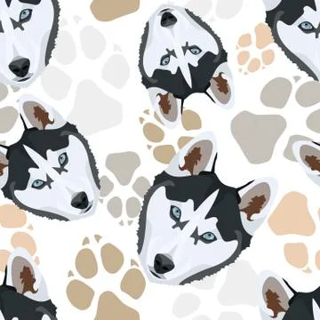 Pattern Dog paws Husky. Stock Illustration