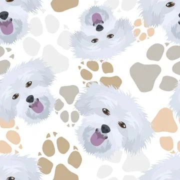 Pattern Dog Paws Maltese. Stock Illustration
