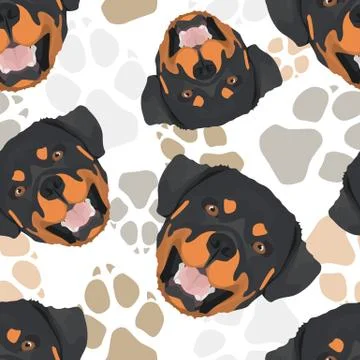 Pattern Dog Paws Rottweiler. 스톡 일러스트