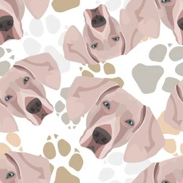 Pattern Dog Paws Weimaraner. Stock Illustration