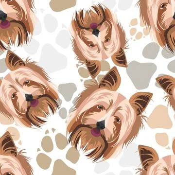 Pattern Dog Paws Yorkshire Terrier. Stock Illustration