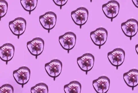 Pattern of doses of serum closeup with small flowers. Skin care, natural beauty Stock Photos