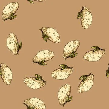 Pattern dough kitchen sketch hand drawn 스톡 일러스트