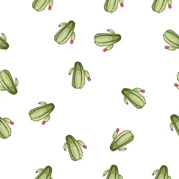 Pattern drawing cactus cartoon vector Stock Illustration