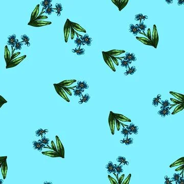 Pattern drawing forget me not sketch hand drawn イラスト素材