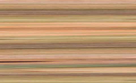 Pattern drawing light colored texture tree wallpaper イラスト素材