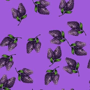 Pattern drawing lilac sketch hand drawn Stock Illustration