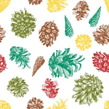Pattern with drawn pine cones Stock Illustration