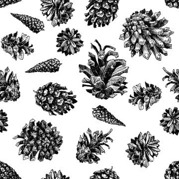 Pattern with drawn pine cones Stock Illustration